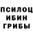 Галлюциногенные грибы мицелий Alex Fama