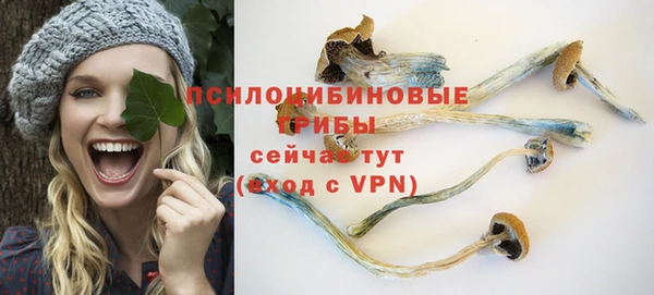 гидра Балахна