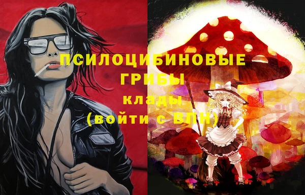 гидра Балахна