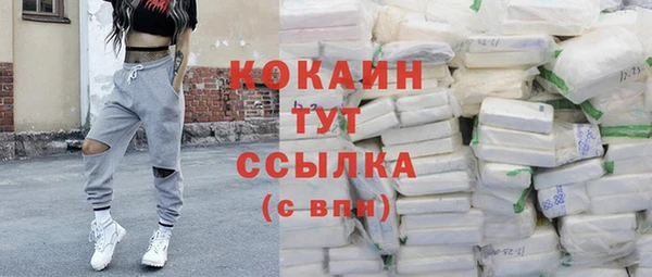 гидра Балахна
