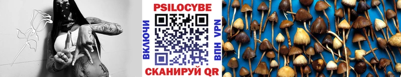 Псилоцибиновые грибы мухоморы  Тетюши 